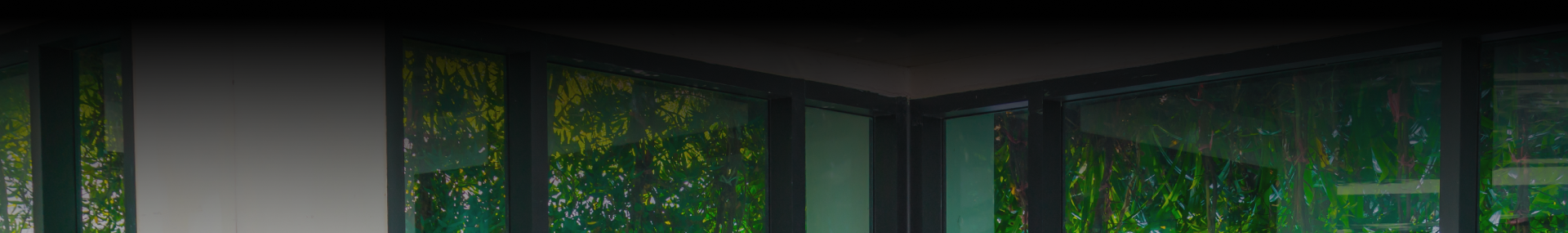 top-banner