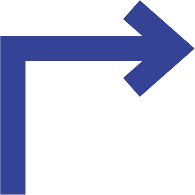 ícone